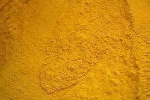 Farine de gluten de maïs (60 % de protéines minimales) - Indonésie