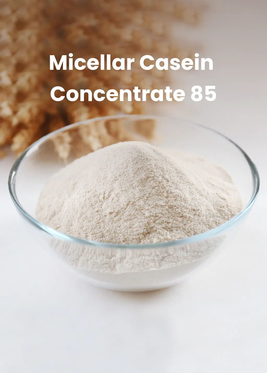 Micellar Casein Concentrate 85
