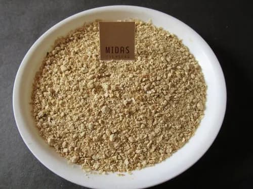 Soybean Meal (Non-GMO) - India