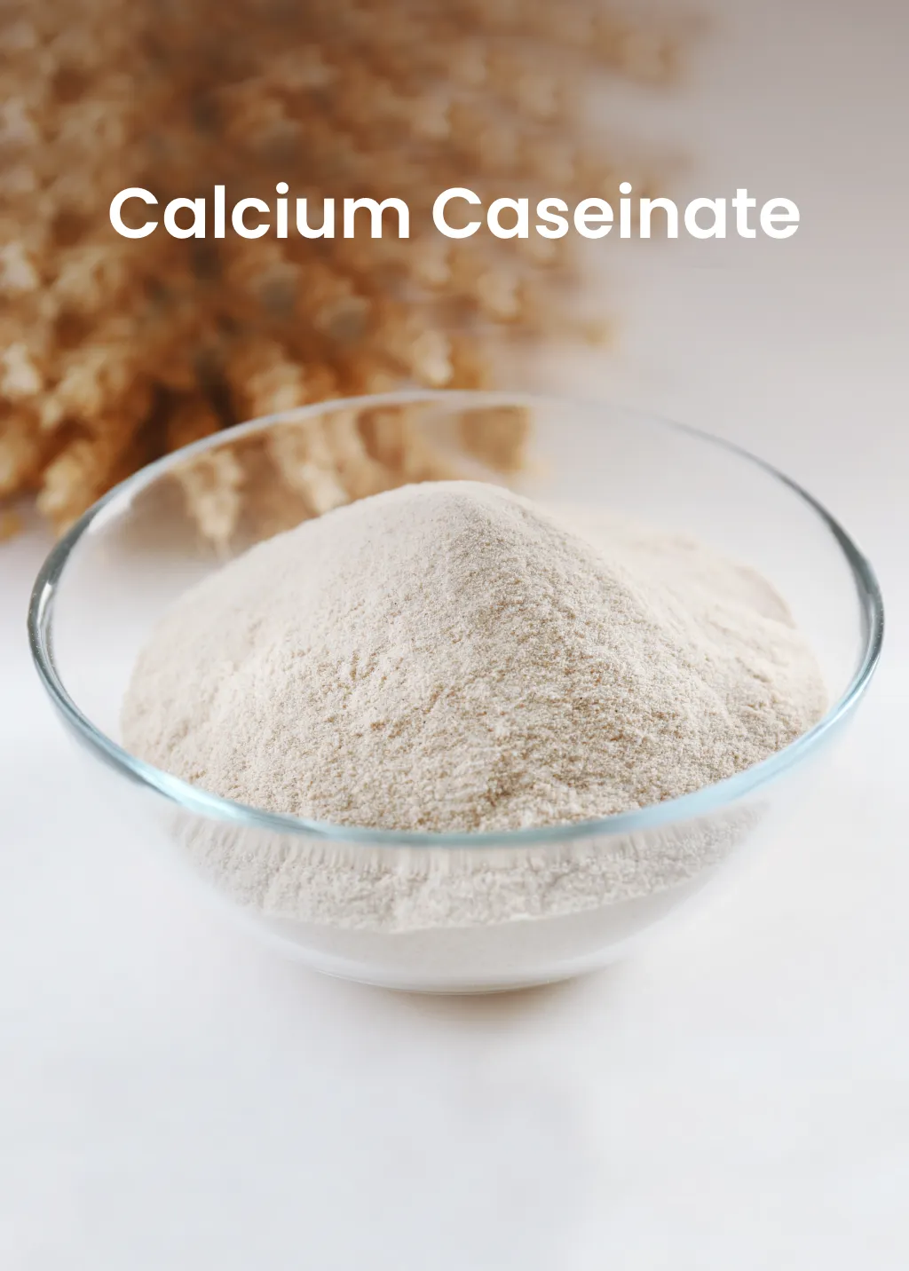 Calcium Caseinate